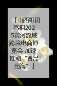 山西组团亮相2025黄河流域跨境电商博览会 加速推动“晋品出海”