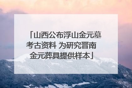 山西公布浮山金元墓考古资料 为研究晋南金元葬具提供样本