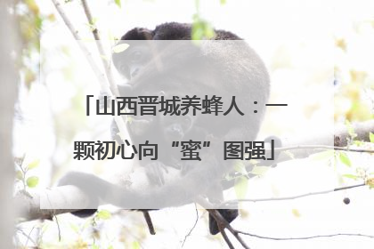山西晋城养蜂人：一颗初心向“蜜”图强