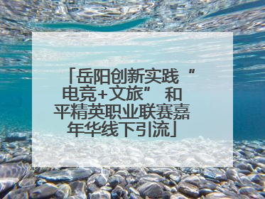 岳阳创新实践“电竞+文旅” 和平精英职业联赛嘉年华线下引流