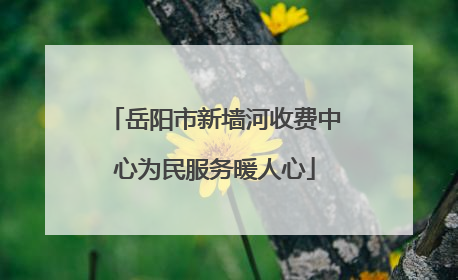 岳阳市新墙河收费中心为民服务暖人心