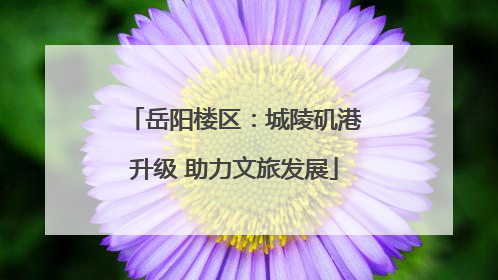 岳阳楼区：城陵矶港升级 助力文旅发展