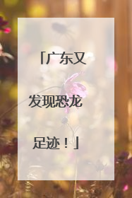 广东又发现恐龙足迹！