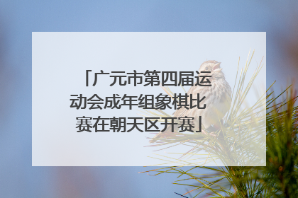 广元市第四届运动会成年组象棋比赛在朝天区开赛