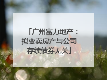 广州富力地产：拟变卖房产与公司存续债券无关