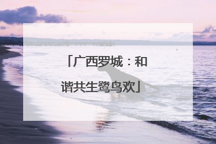 广西罗城：和谐共生鹭鸟欢