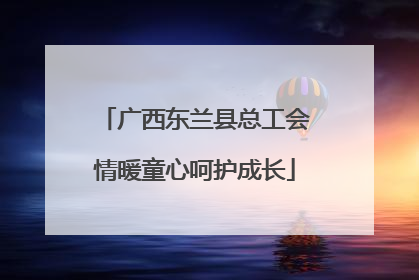 广西东兰县总工会情暖童心呵护成长