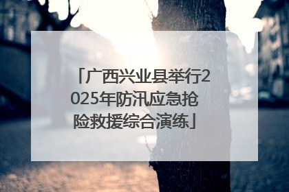广西兴业县举行2025年防汛应急抢险救援综合演练