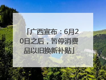 广西宣布：6月20日之后，暂停消费品以旧换新补贴