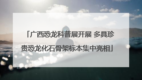 广西恐龙科普展开展 多具珍贵恐龙化石骨架标本集中亮相