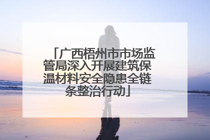 广西梧州市市场监管局深入开展建筑保温材料安全隐患全链条整治行动