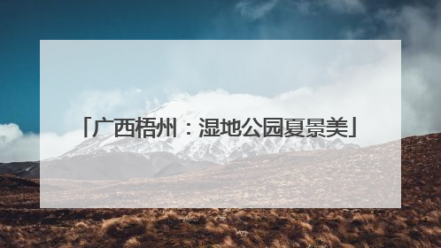 广西梧州：湿地公园夏景美