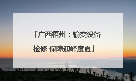 广西梧州：输变设备检修 保障迎峰度夏