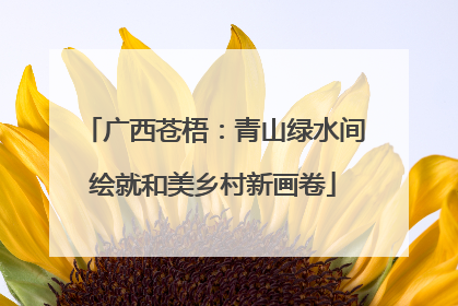 广西苍梧：青山绿水间绘就和美乡村新画卷