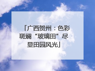 广西贺州：色彩斑斓“玻璃田”尽显田园风光