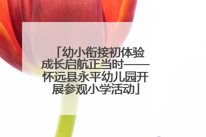 幼小衔接初体验 成长启航正当时——怀远县永平幼儿园开展参观小学活动