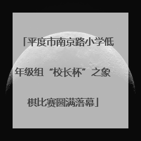 平度市南京路小学低年级组“校长杯”之象棋比赛圆满落幕