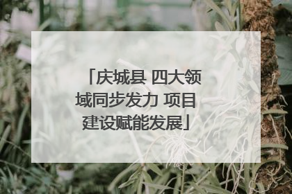 庆城县 四大领域同步发力 项目建设赋能发展