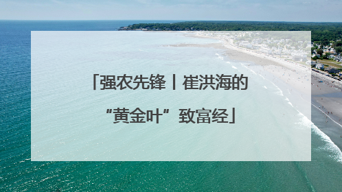 强农先锋丨崔洪海的“黄金叶”致富经