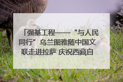 强基工程——“与人民同行”乌兰图雅随中国文联走进拉萨 庆祝西藏自治区成立60周年