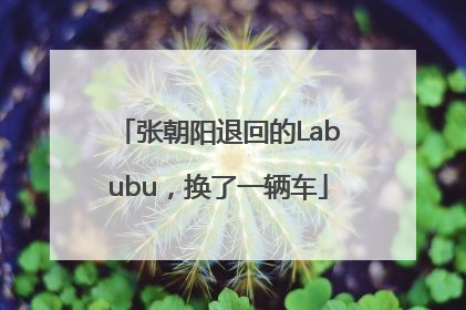 张朝阳退回的Labubu，换了一辆车