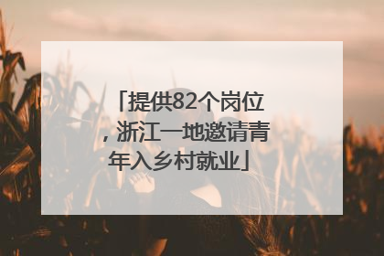 提供82个岗位，浙江一地邀请青年入乡村就业