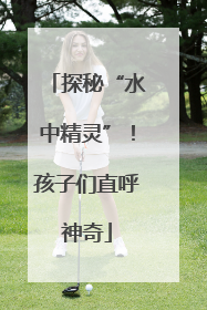 探秘“水中精灵”！孩子们直呼神奇