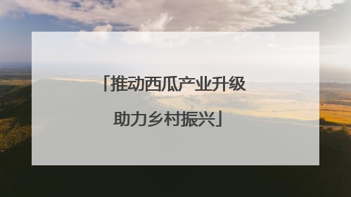 推动西瓜产业升级 助力乡村振兴