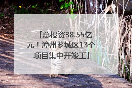总投资38.55亿元！漳州芗城区13个项目集中开竣工