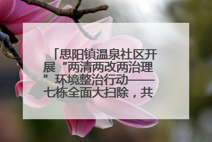 思阳镇温泉社区开展“两清两改两治理”环境整治行动——七栋全面大扫除，共建洁净家园