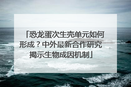 恐龙蛋次生壳单元如何形成？中外最新合作研究揭示生物成因机制
