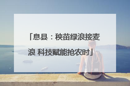 息县：秧苗绿浪接麦浪 科技赋能抢农时