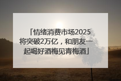 情绪消费市场2025将突破2万亿，和朋友一起喝好酒梅见青梅酒