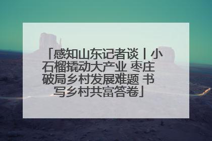 感知山东记者谈丨小石榴撬动大产业 枣庄破局乡村发展难题 书写乡村共富答卷