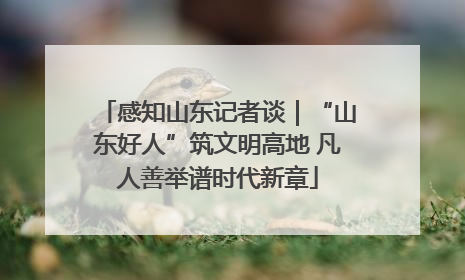感知山东记者谈｜“山东好人”筑文明高地 凡人善举谱时代新章