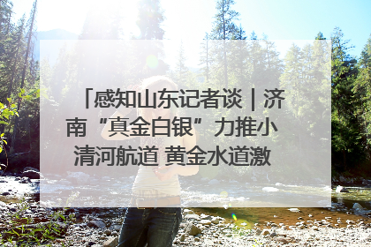 感知山东记者谈｜济南“真金白银”力推小清河航道 黄金水道激活区域经济新动能