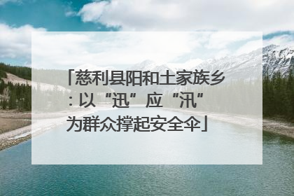 慈利县阳和土家族乡：以“迅”应“汛” 为群众撑起安全伞