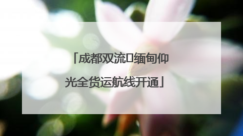 成都双流⇌缅甸仰光全货运航线开通