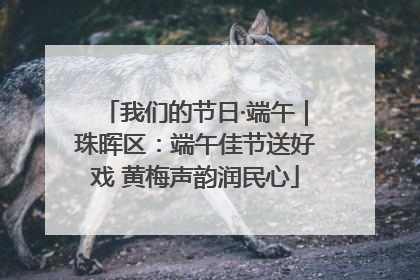 我们的节日·端午｜珠晖区：端午佳节送好戏 黄梅声韵润民心