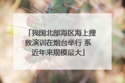 我国北部海区海上搜救演训在烟台举行 系近年来规模最大