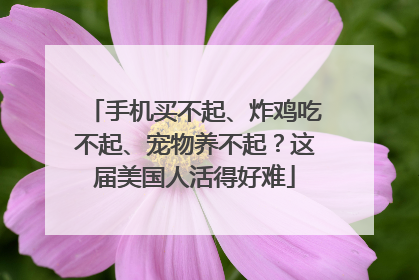 手机买不起、炸鸡吃不起、宠物养不起？这届美国人活得好难