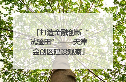 打造金融创新“试验田”——天津金创区建设观察