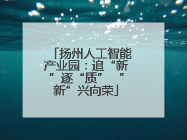 扬州人工智能产业园：追“新”逐“质” “新”兴向荣