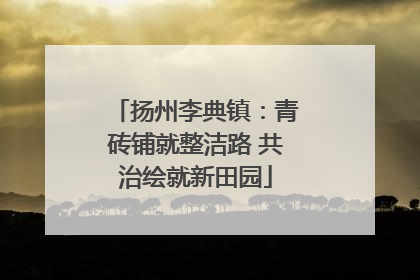 扬州李典镇：青砖铺就整洁路 共治绘就新田园