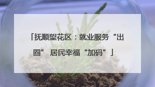 抚顺望花区：就业服务“出圈” 居民幸福“加码”