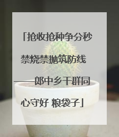 抢收抢种争分秒 禁烧禁抛筑防线——郎中乡干群同心守好 粮袋子
