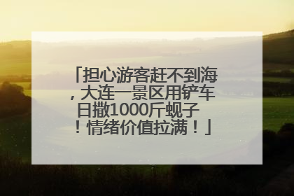担心游客赶不到海，大连一景区用铲车日撒1000斤蚬子！情绪价值拉满！