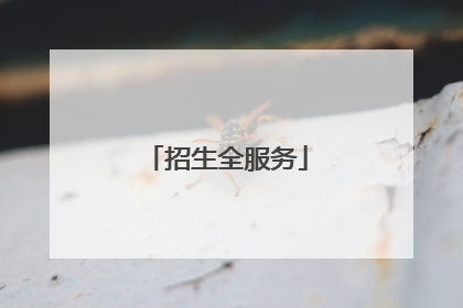 招生全服务