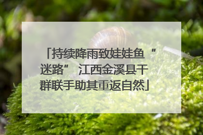 持续降雨致娃娃鱼“迷路” 江西金溪县干群联手助其重返自然