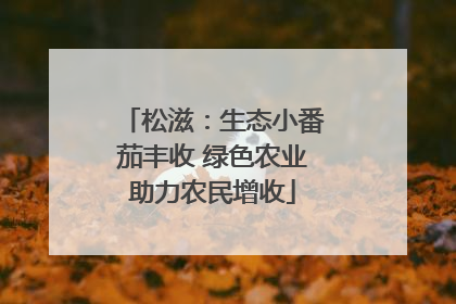 松滋：生态小番茄丰收 绿色农业助力农民增收